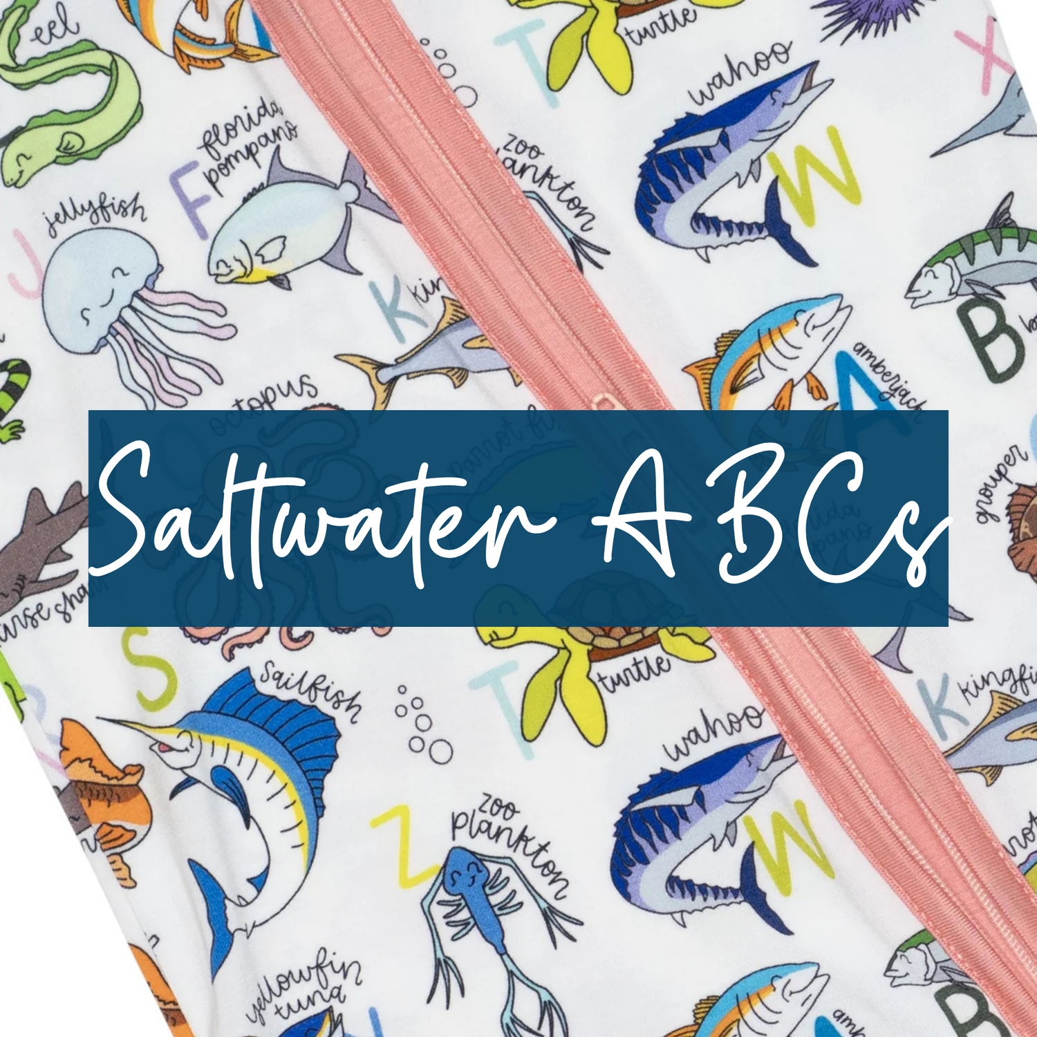 Saltwater ABCs